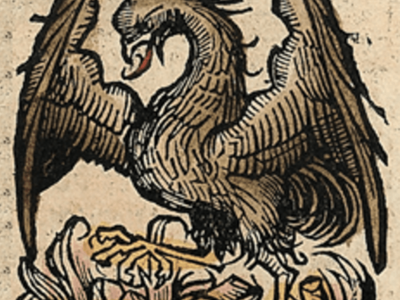 Doenças, Cura, Morte e&nbsp;Renascimento