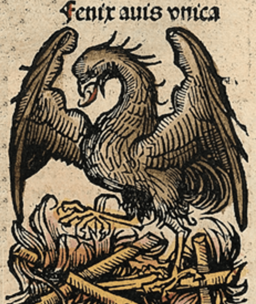 A Fênix preparando sua pira funerária