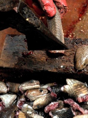 No Brasil, olhe para o lado, quando você quiser ser&nbsp;humano