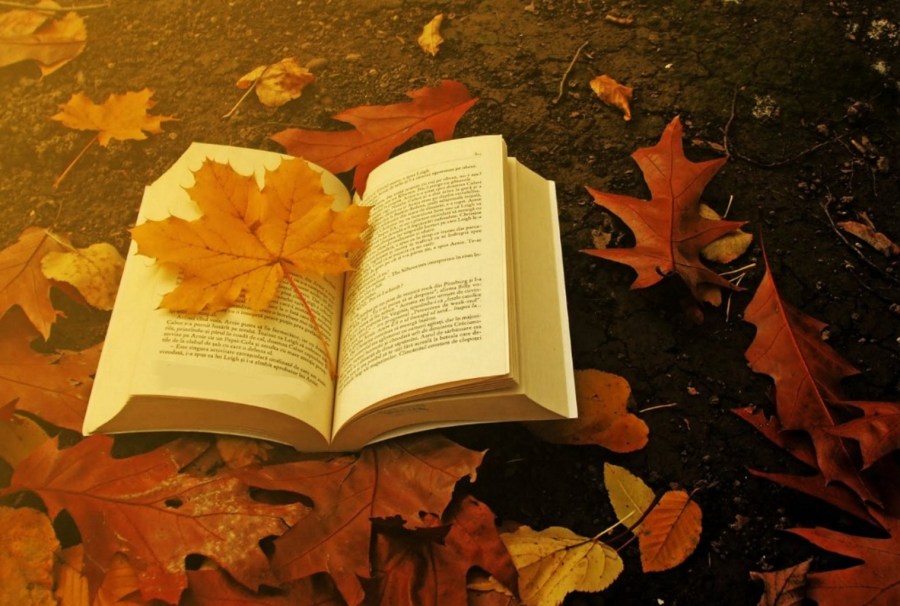 seriex-o-prazer-infinito-na-busca-da-perfeicao-livro