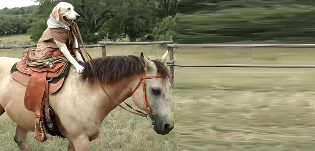Sete idiotas a cada dez&nbsp;pessoas