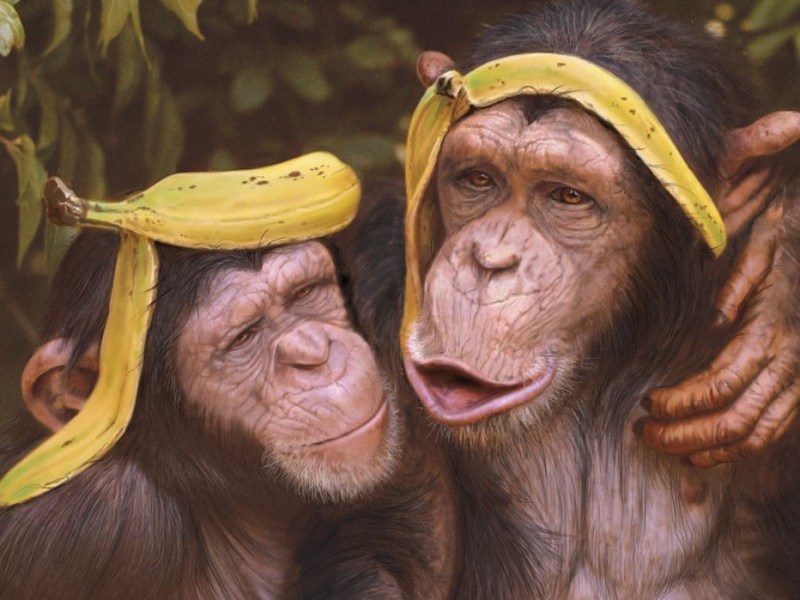 A Política do Planeta dos&nbsp;Macacos