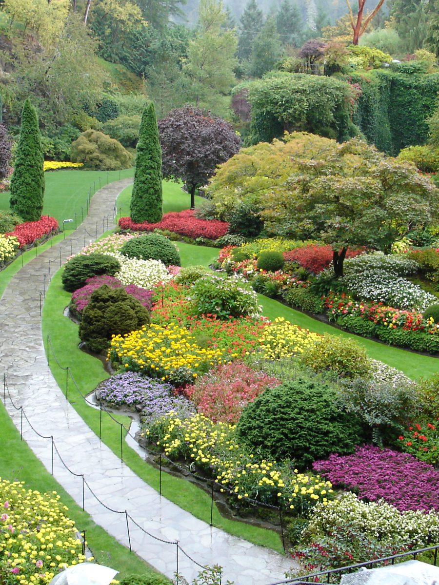 O Jardim da&nbsp;Bipolaridade