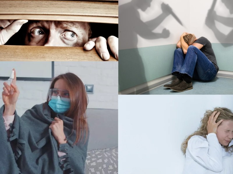 A Jaula da&nbsp;Paranoia