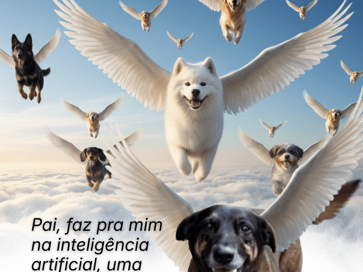 🔔 Ao Orelha Com&nbsp;Carinho